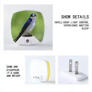 I See You Swallow Sleep Night Light