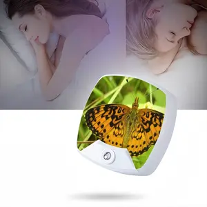 Beautiful New Hampshire Butterfly Sleep Night Light