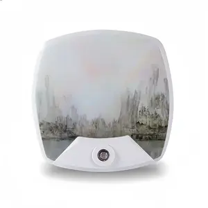 Megacity And Seagull Sleep Night Light