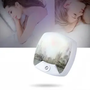 Megacity And Seagull Sleep Night Light