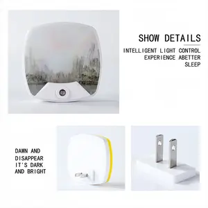 Megacity And Seagull Sleep Night Light