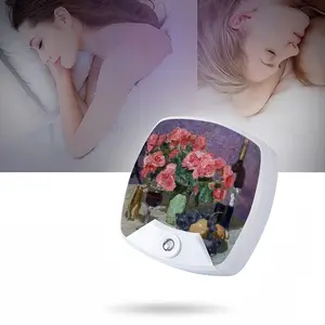 Christmas Still Life Sleep Night Light