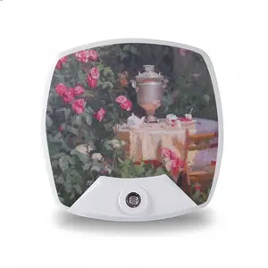 Summer In The Garden Sleep Night Light