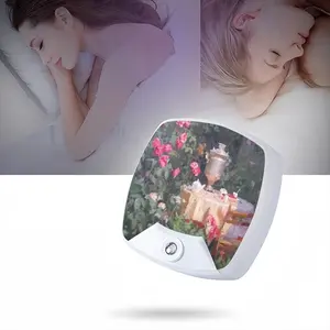 Summer In The Garden Sleep Night Light