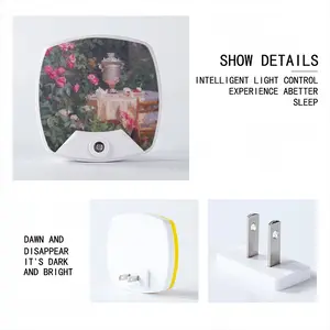 Summer In The Garden Sleep Night Light