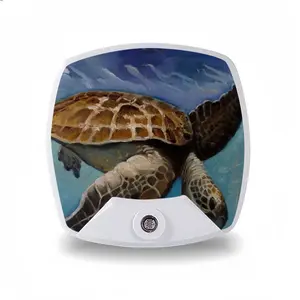 Caribbean Turtle Sleep Night Light