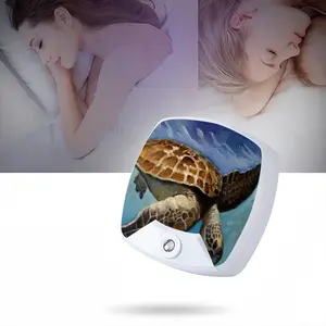 Caribbean Turtle Sleep Night Light