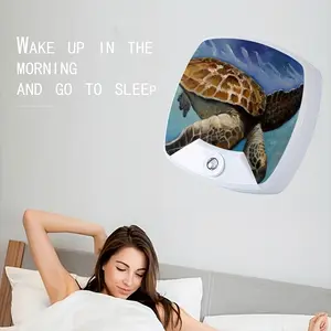 Caribbean Turtle Sleep Night Light