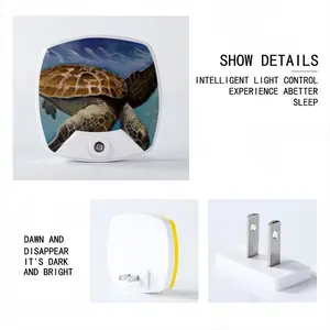 Caribbean Turtle Sleep Night Light