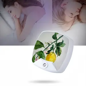 Lemon Branch Sleep Night Light