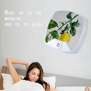 Lemon Branch Sleep Night Light