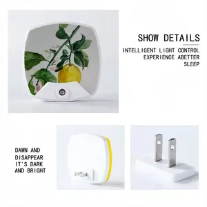 Lemon Branch Sleep Night Light