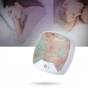 Pleasure Sleep Night Light