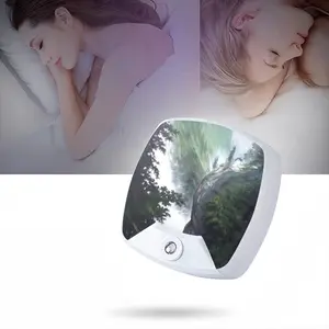 Paths Of Life Sleep Night Light