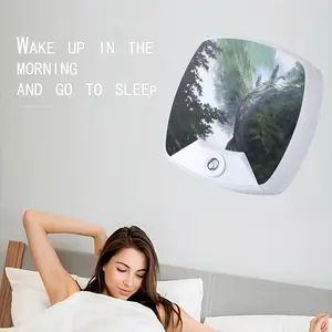 Paths Of Life Sleep Night Light