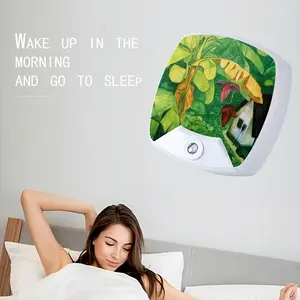 Day In The Village Sleep Night Light