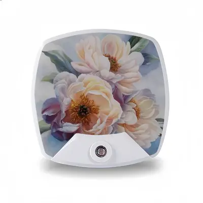 Beauty Of Peonies Sleep Night Light