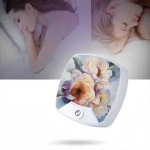 Beauty Of Peonies Sleep Night Light