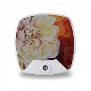 Roses Sleep Night Light