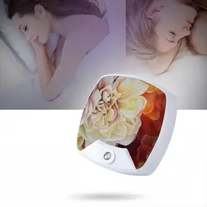 Roses Sleep Night Light