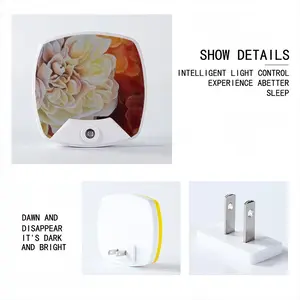 Roses Sleep Night Light