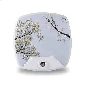 State Of Nature Sleep Night Light