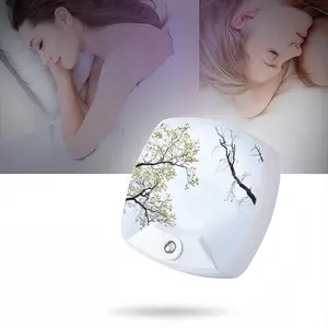 State Of Nature Sleep Night Light