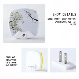 State Of Nature Sleep Night Light