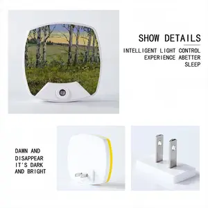 Birch Trees At Sunrise Sleep Night Light