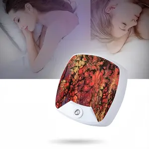 The 4Th Sleep Night Light