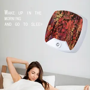 The 4Th Sleep Night Light