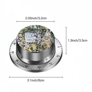 Court Spin Timer