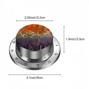 Nocturnconstellation Spin Timer