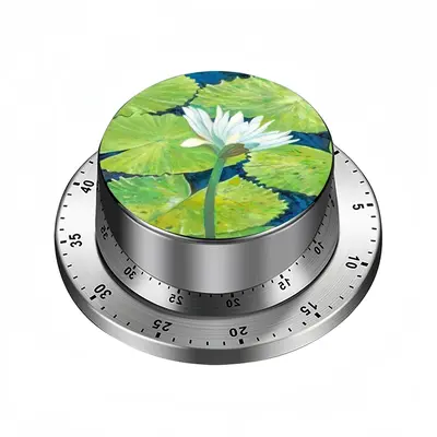 Lilly Pads Spin Timer