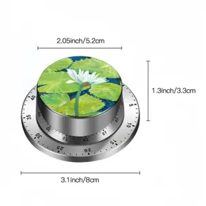 Lilly Pads Spin Timer