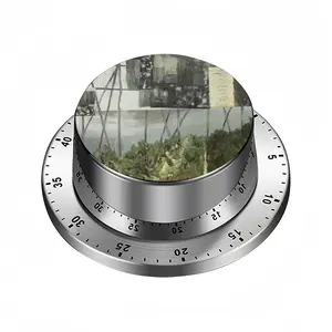 Roadside Attraction Spin Timer