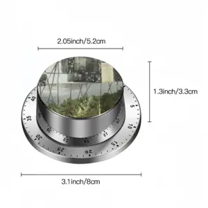 Roadside Attraction Spin Timer