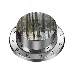 Sparkling Snow Spin Timer