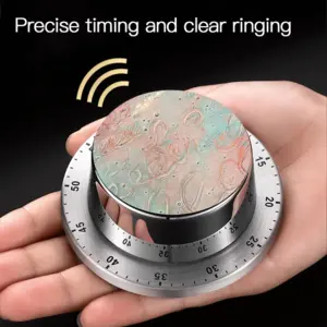 Pleasure Spin Timer