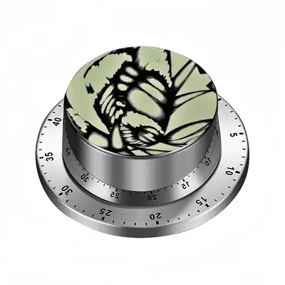 Corrosion 7 Spin Timer