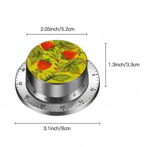 Raspberry Spin Timer