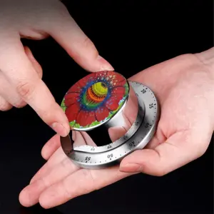 Flower Planet Spin Timer