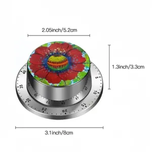 Flower Planet Spin Timer