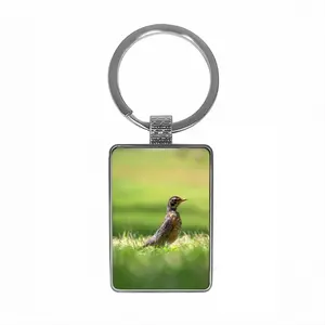 Bird In High Park Grass Square Keychain