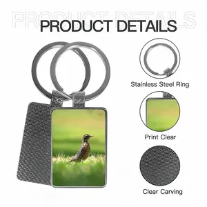 Bird In High Park Grass Square Keychain