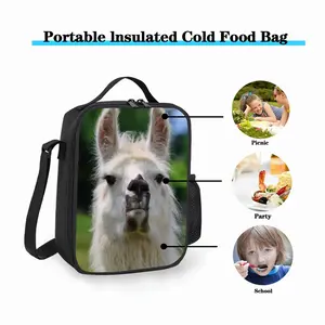 Llama Look Square Thermal Insulation Meal Bag