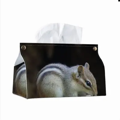 Hight Park Chipmunk Leather Tissue Box