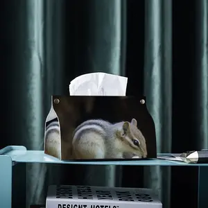 Hight Park Chipmunk Leather Tissue Box