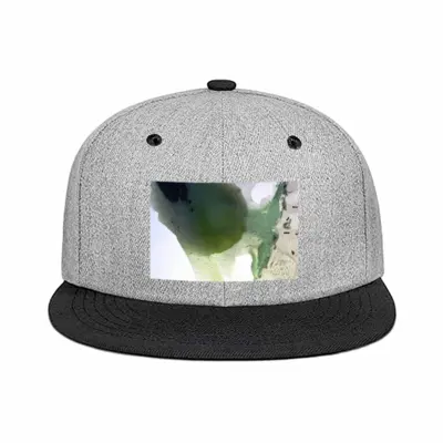 Contents Flat Brim Hip Hop Hat