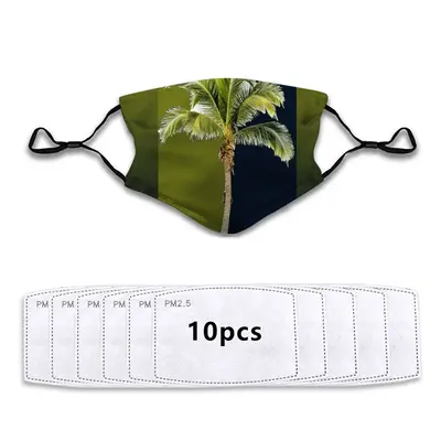 Palm S Face Mask With 10pcs Filters